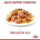 Royal Canin Hair & Skin in Jelly Cat Food Pouches - 12 x 85g
