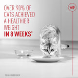 Royal Canin Light Airlift Mousse Adult Wet Cat Food 12 x 85g