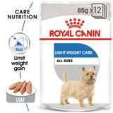 Royal Canin Light Weight Care Wet Pouches Adult Dog Food - 12 x 85g