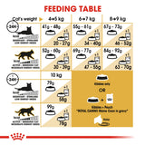 Royal Canin Maine Coon Adult Dry Cat Food - 400G