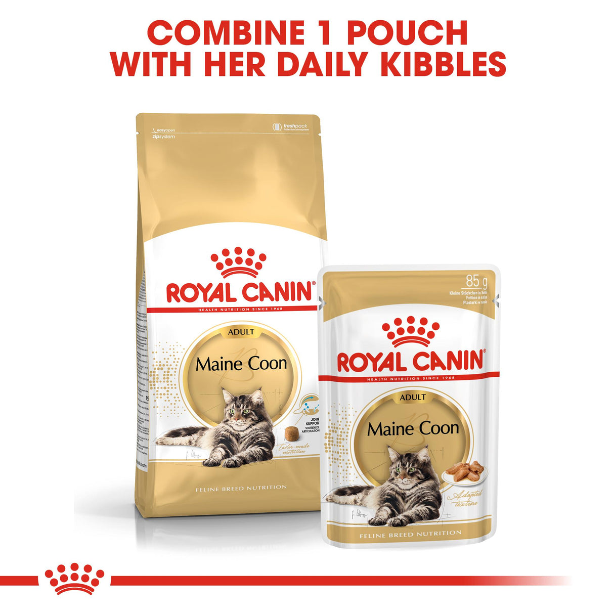 Royal Canin Maine Coon Adult Dry Cat Food - 400G