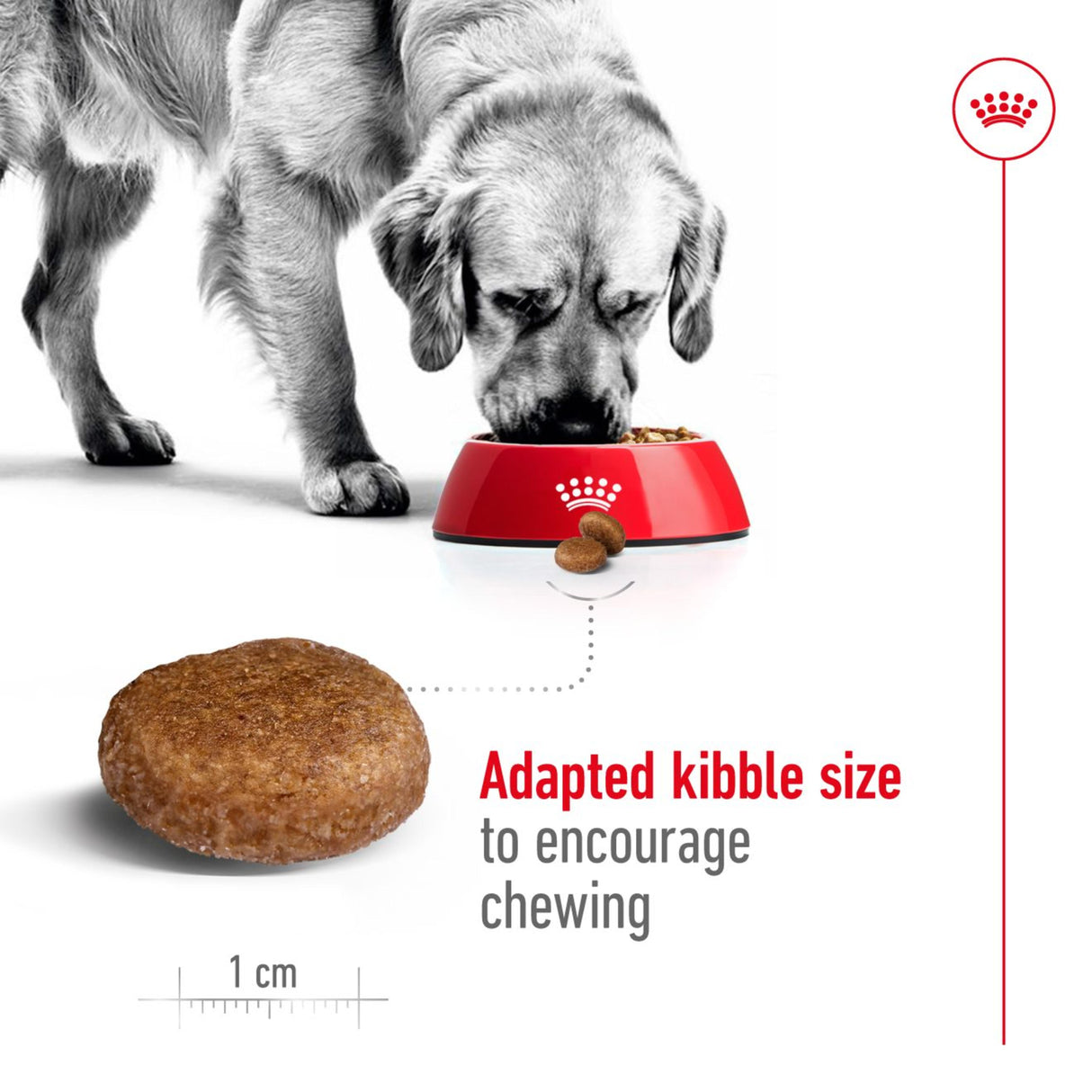 Royal Canin Maxi Adult 5+ Dry Dog Food - 15kg