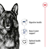 Royal Canin Size Health Nutrition Maxi Adult Dry Large Dog Food - 3kg