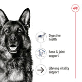 Royal Canin Maxi Ageing 5+ Wet Dog Food Chunks In Loaf - 12 x 410g