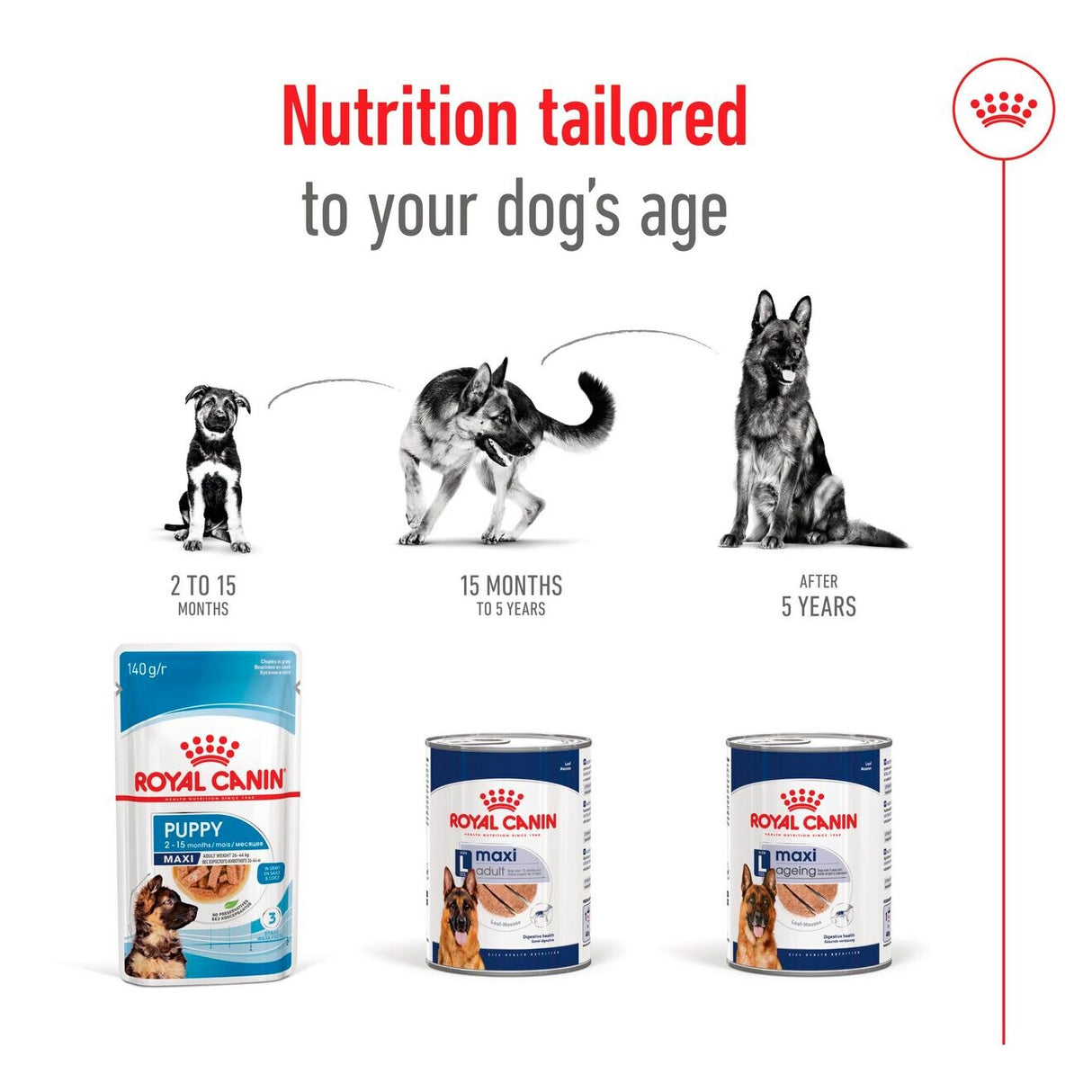 Royal Canin Maxi Ageing 5+ Wet Dog Food Chunks In Loaf - 12 x 410g