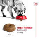 Royal Canin Maxi Ageing 8+ - 15kg