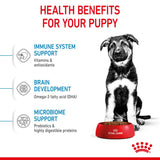 Royal Canin Size Health Nutrition Puppy Maxi Dry Dog Food - 3kg