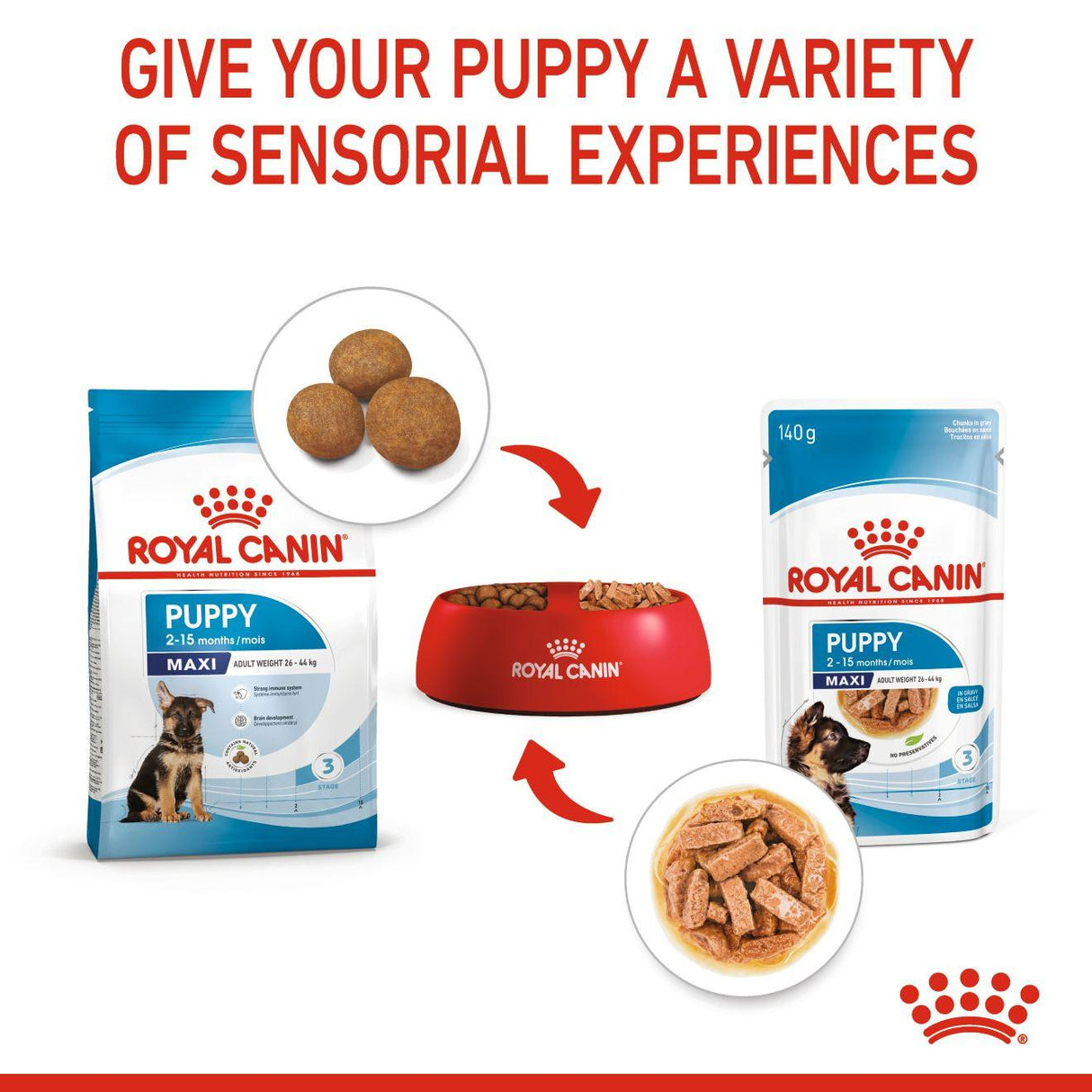 Royal Canin Size Health Nutrition Puppy Maxi Dry Dog Food - 3kg