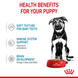 Royal Canin Maxi Puppy Wet Dog Food in Gravy - 10 x 140g