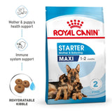 Royal Canin Maxi Starter Mother & Baby Dog - 4kg