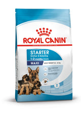 Royal Canin Maxi Starter Mother & Baby Dog - 4kg