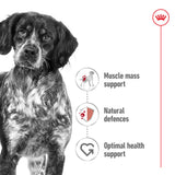 Royal Canin Size Health Nutrition Medium Adult Dry Dog Food - 15kg