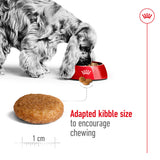 Royal Canin Size Health Nutrition Medium Adult Dry Dog Food - 3kg