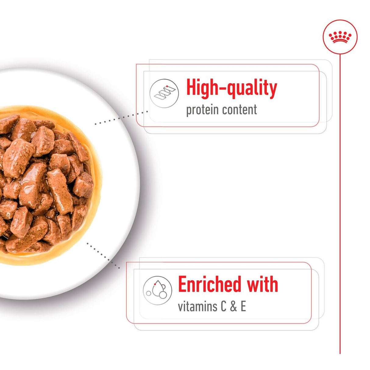 Royal Canin Medium Adult Wet Dog Food in Gravy - 10 x 140g