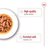 Royal Canin Medium Adult Wet Dog Food in Gravy - 10 x 140g