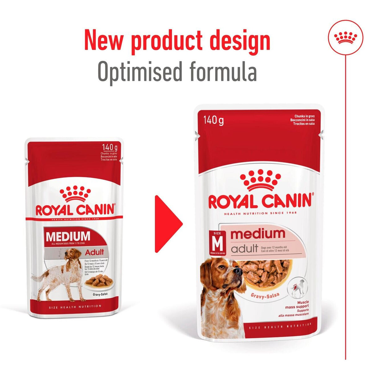 Royal Canin Medium Adult Wet Dog Food in Gravy - 10 x 140g