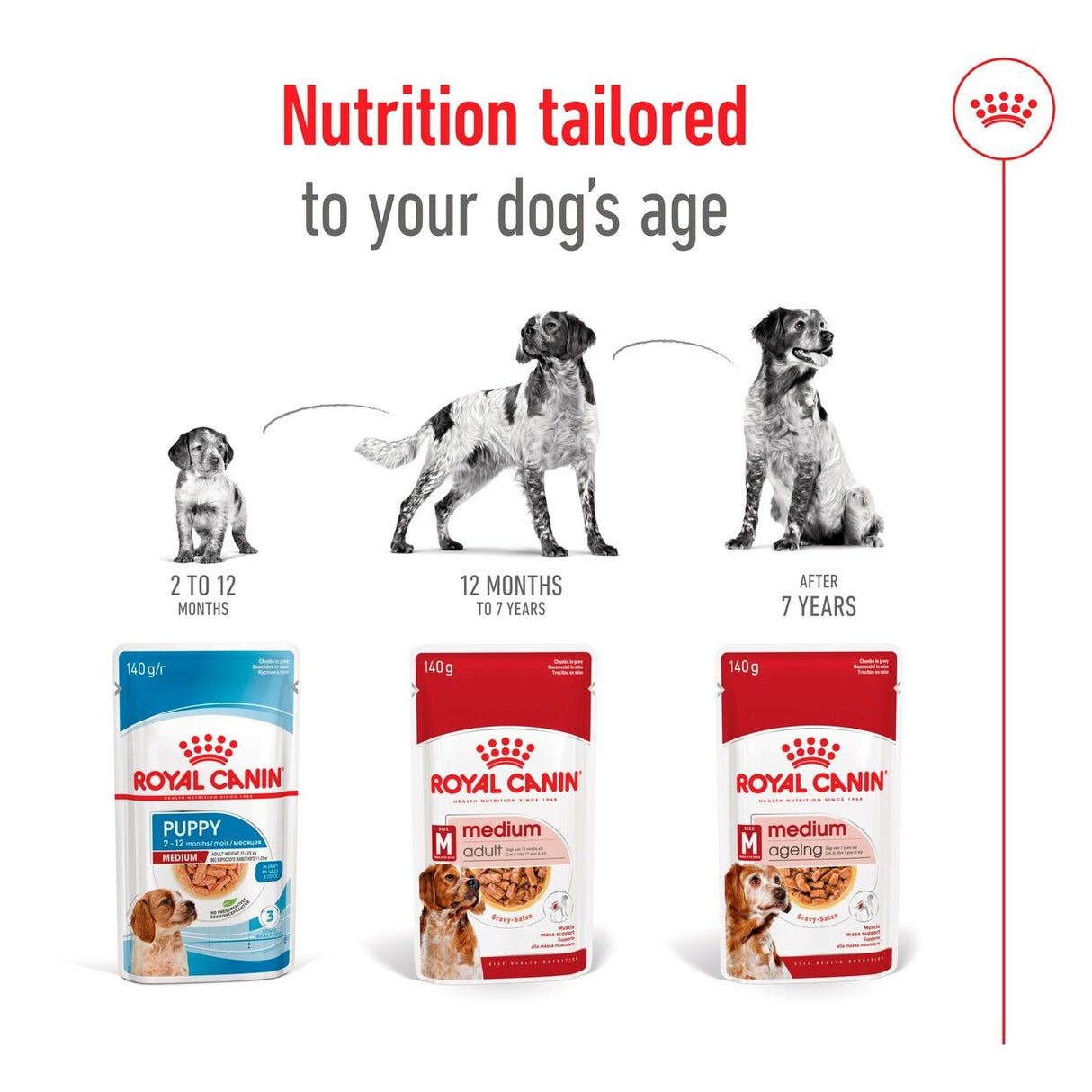 Royal Canin Medium Adult Wet Dog Food in Gravy - 10 x 140g