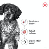 Royal Canin Medium Ageing 10+ - 3kg