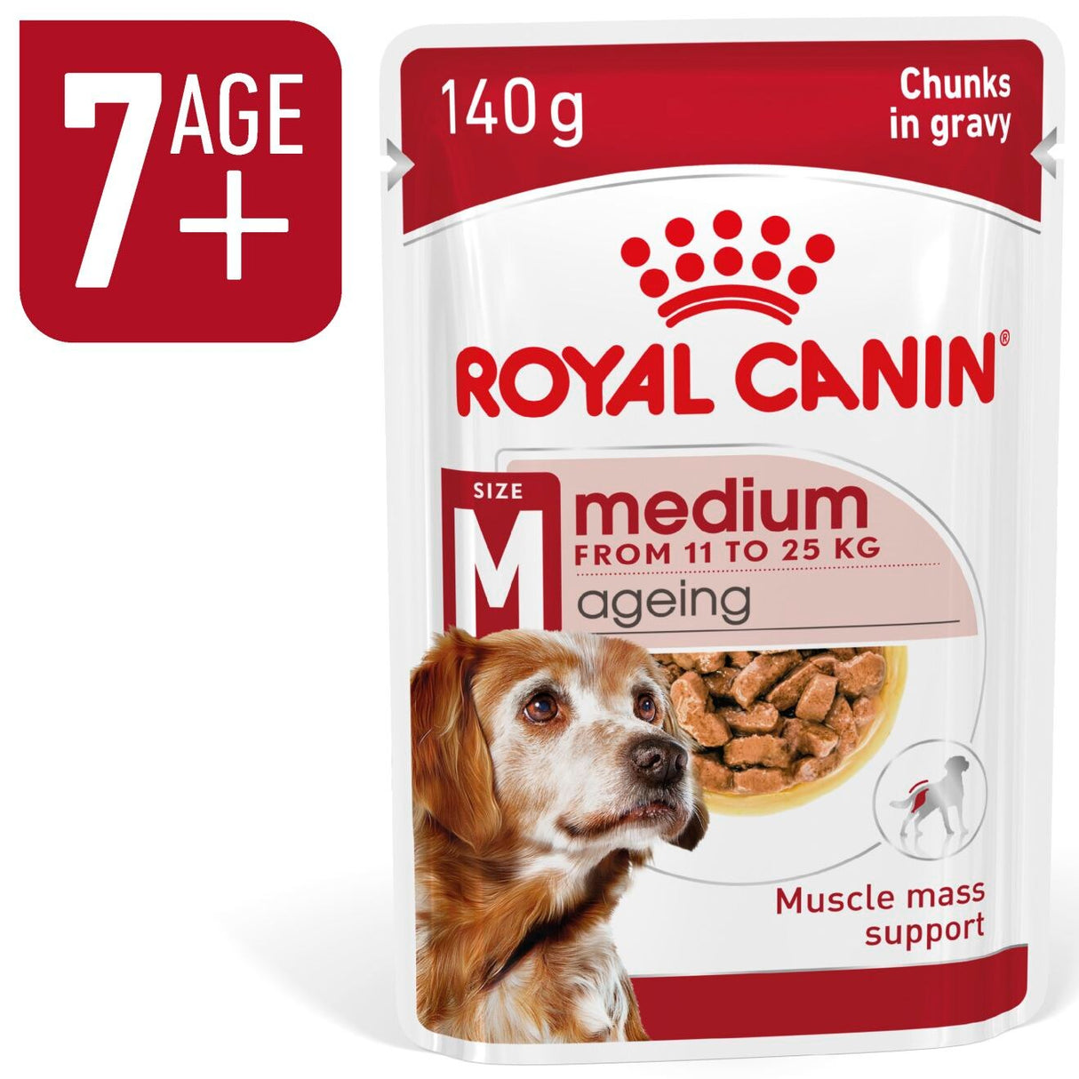 Royal Canin Medium Ageing 10+ Wet Dog Food in Gravy - 10 x 1