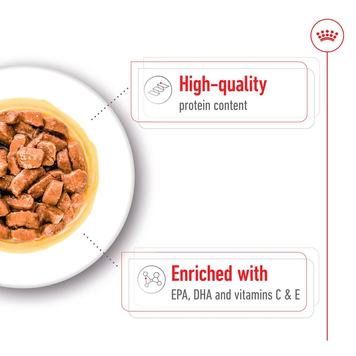 Royal Canin Medium Ageing 10+ Wet Dog Food in Gravy - 10 x 1