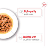 Royal Canin Medium Ageing 10+ Wet Dog Food in Gravy - 10 x 1