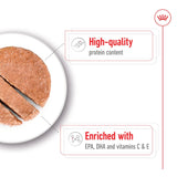 Royal Canin Medium Ageing 7+ Wet Dog Food Chunks In Loaf - 12 x 410g