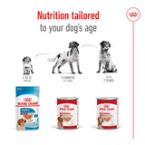 Royal Canin Medium Ageing 7+ Wet Dog Food Chunks In Loaf - 12 x 410g