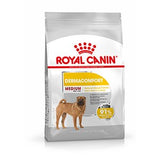 Royal Canin Medium Dermacomfort Dry Dog Food - 12kg