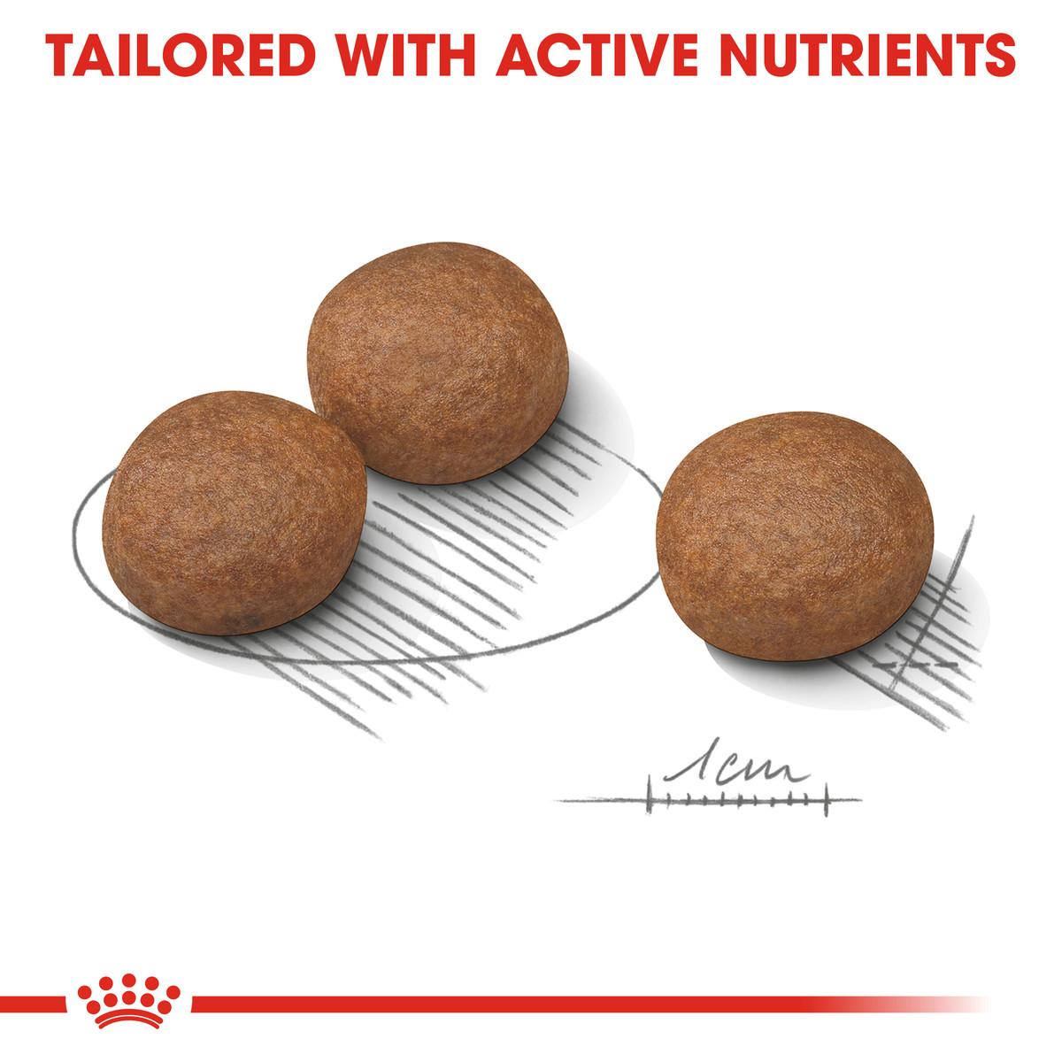 Royal Canin Medium Digestive Care Dry Adult Dog Food - 12kg