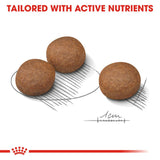 Royal Canin Medium Digestive Care Dry Adult Dog Food - 12kg