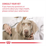 Royal Canin Medium Nutrition Dry Dog Food