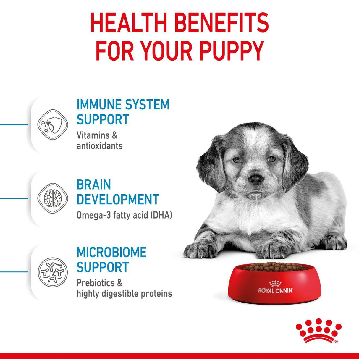 Royal Canin Medium Puppy Dry Dog Food - 3kg