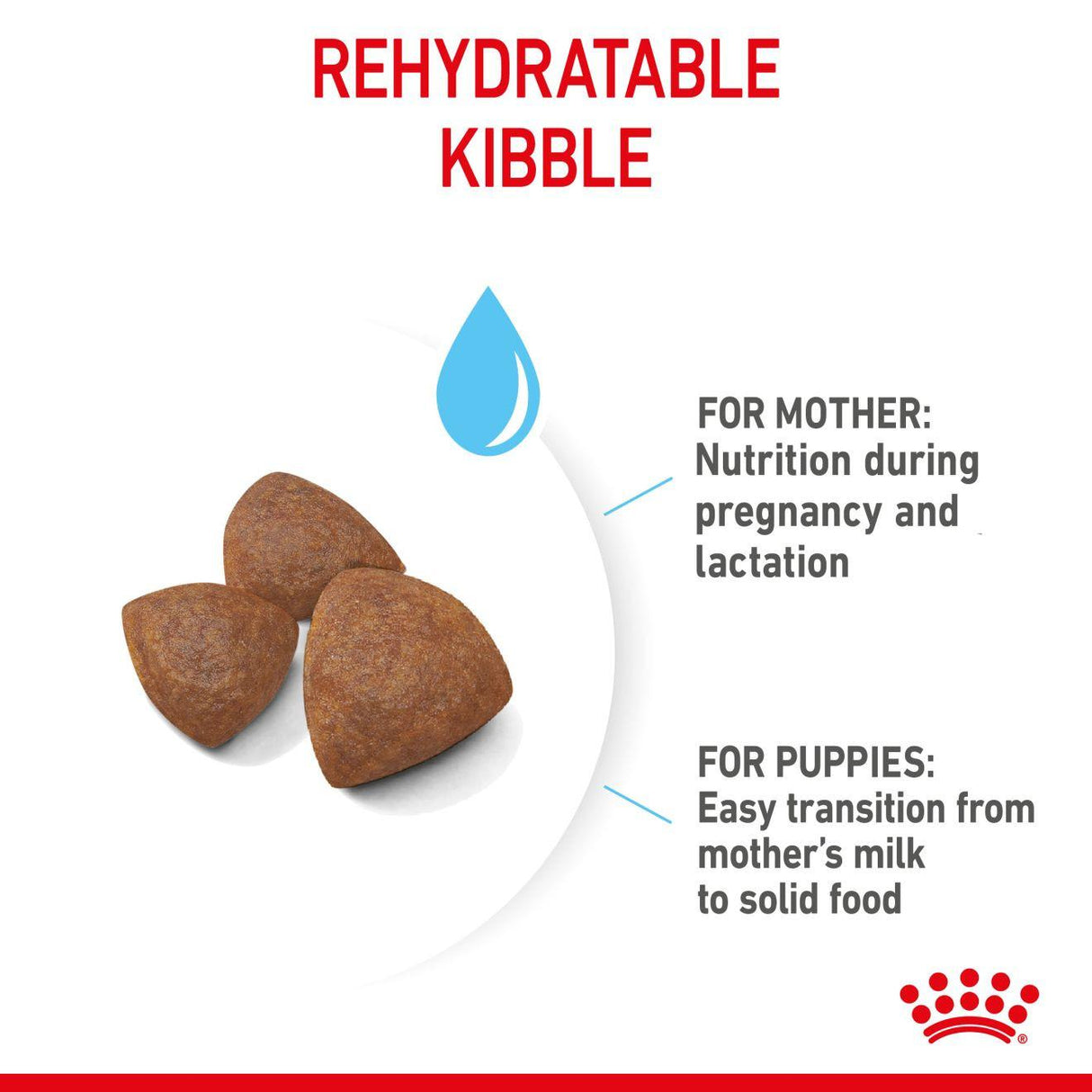 Royal Canin Medium Starter Mother & Baby Dog - 4kg