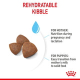 Royal Canin Medium Starter Mother & Baby Dog - 4kg