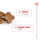 Royal Canin Mini Adult 8+ Dry Dog Food - 2kg