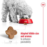 Royal Canin Mini Adult 8+ Dry Dog Food - 2kg