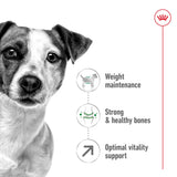 Royal Canin Mini Adult 8+ Dry Dog Food - 8kg