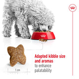 Royal Canin Size Health Nutrition Mini Adult Dry Small Dog Food - 2kg