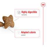 Royal Canin Size Health Nutrition Mini Adult Dry Small Dog Food - 2kg