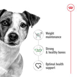 Royal Canin Size Health Nutrition Mini Adult Dry Small Dog Food - 4kg