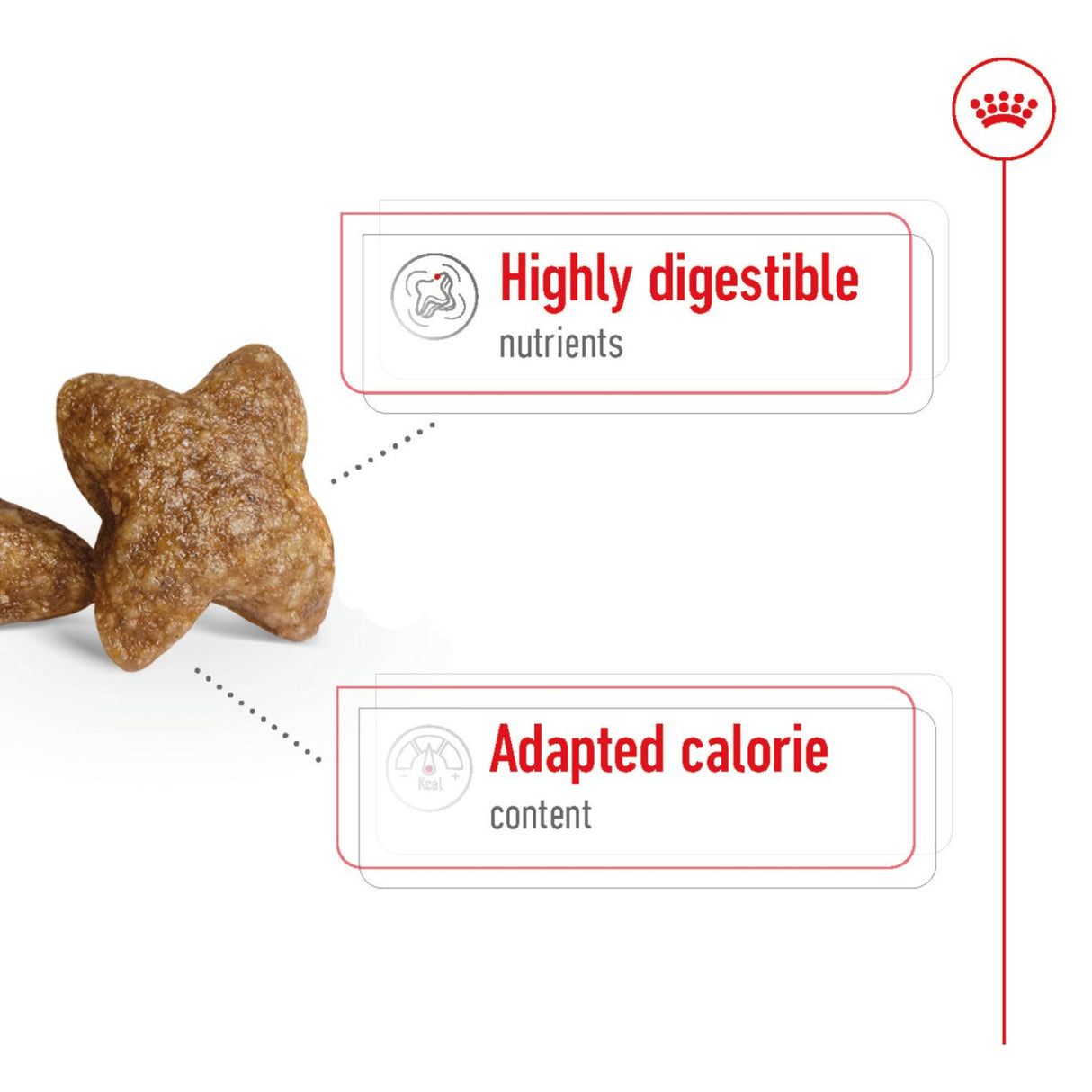 Royal Canin Size Health Nutrition Mini Adult Dry Small Dog Food - 4kg