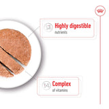 Royal Canin Mini Adult Wet Dog Food Chunks In Loaf - 12 x 195g