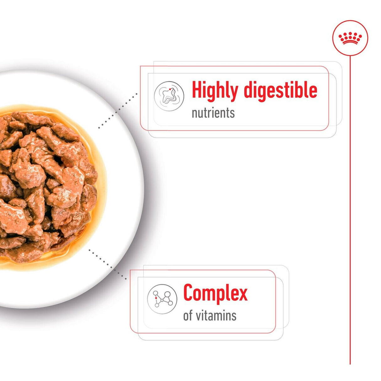 Royal Canin Mini Adult Wet Dog Food In Gravy- 12 x 85g