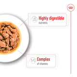 Royal Canin Mini Adult Wet Dog Food In Gravy- 12 x 85g