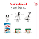 Royal Canin Mini Ageing 8+ Wet Dog Food Chunks In Loaf - 12 x 195g