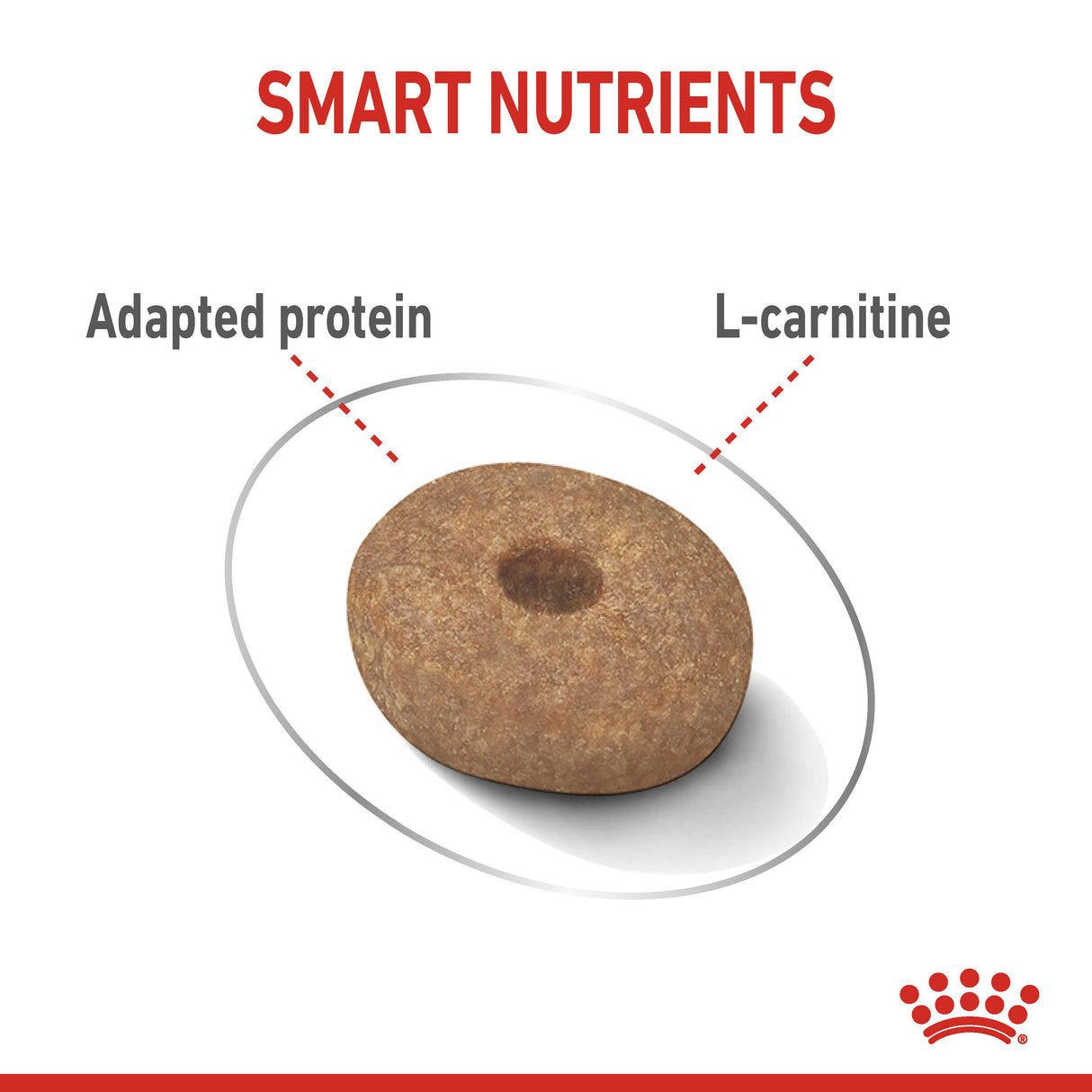 Royal Canin Mini Light Weight Care Adult Dry Dog Food - 3kg