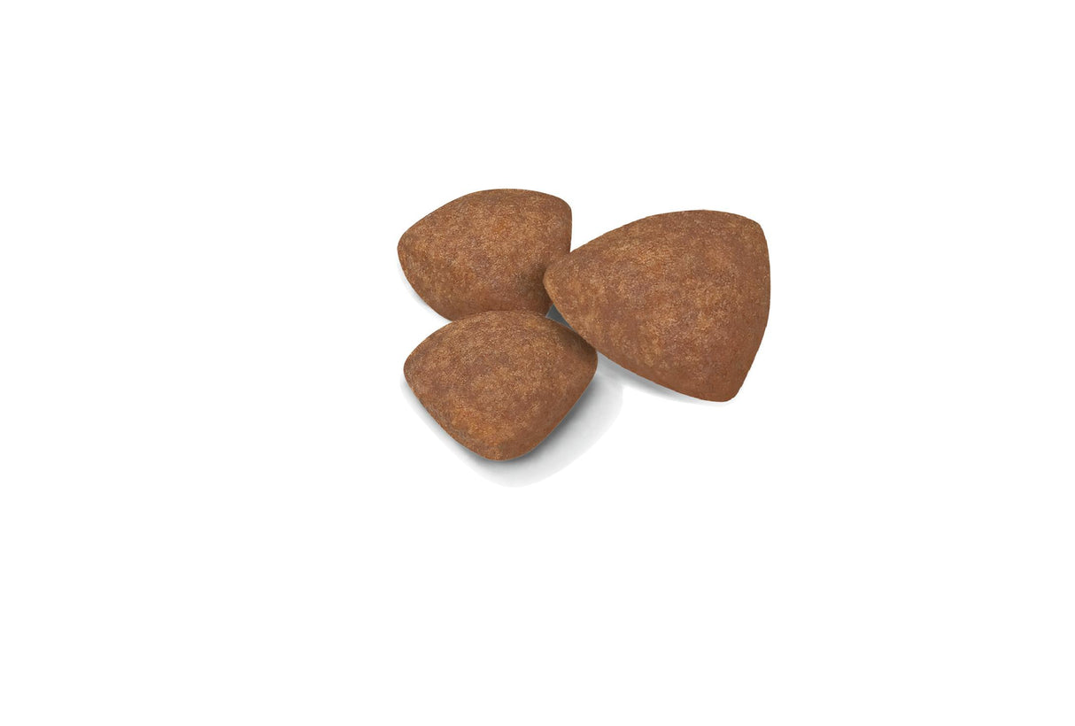Royal Canin Mini Puppy Dry Dog Food - 4kg