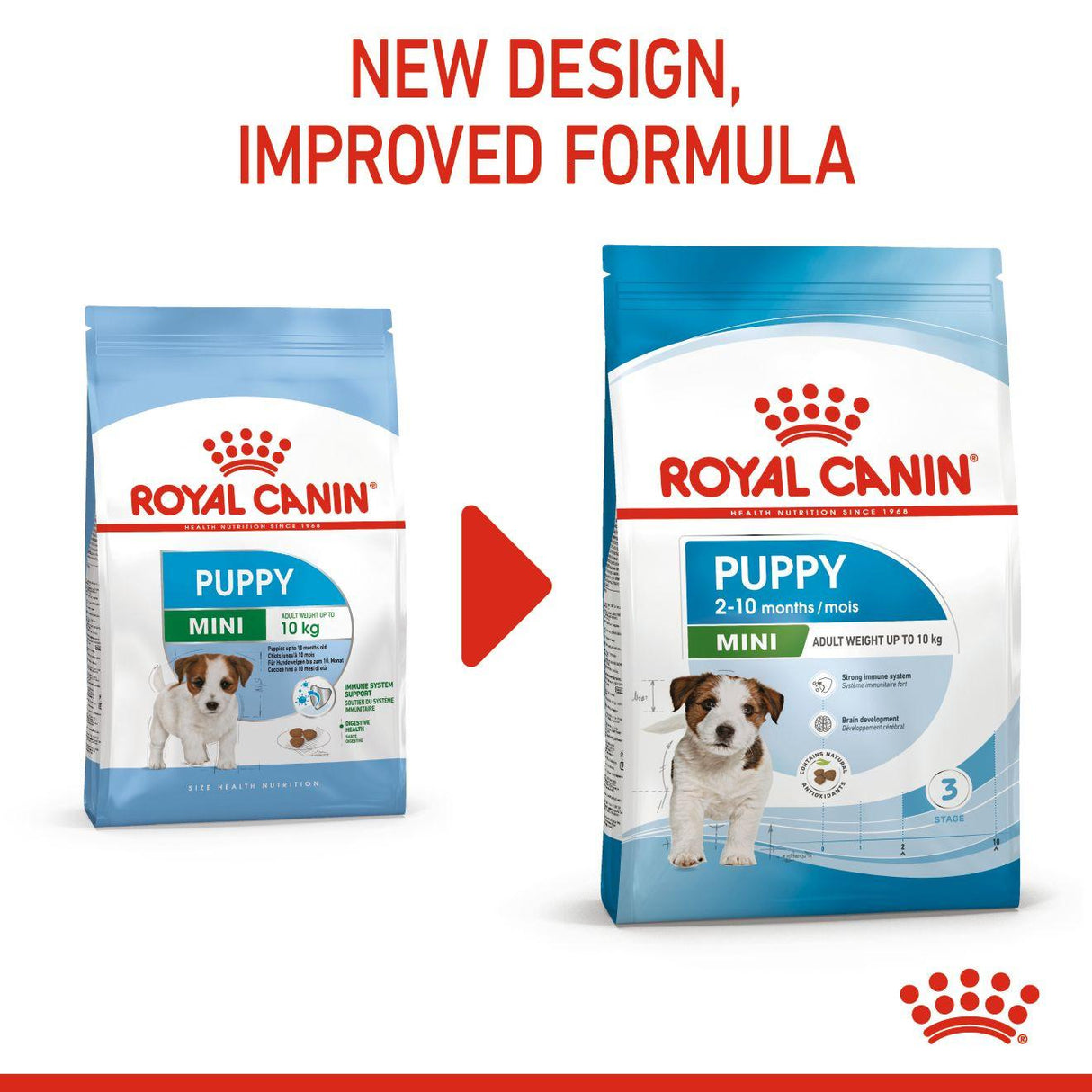 Royal Canin Mini Puppy Dry Dog Food - 8kg