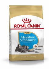 Royal Canin Small Breed Dry Dog Food