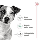 Royal Canin Mini Ageing 12+ Wet Dog Food In Gravy - 1